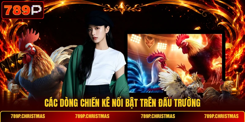 Các dòng chiến kê nổi bật trên đấu trường